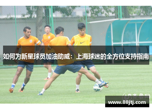 如何为新星球员加油助威：上海球迷的全方位支持指南